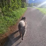 Tiny House Waldschmied 2 * Latzendorf