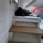 דירה Tiny House Waldschmied 2 *