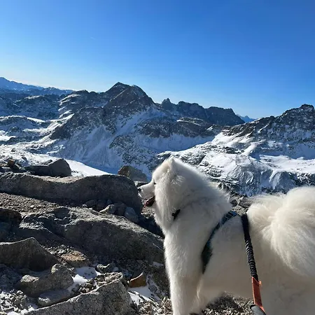 Tiny House Waldschmied 2 Appartamento