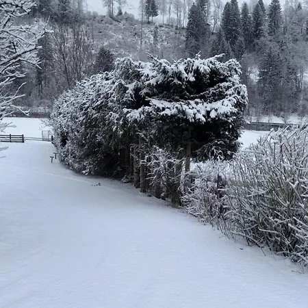 Tiny House Waldschmied 2 *