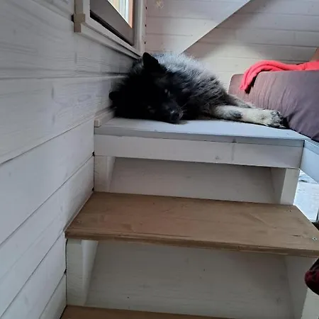 Lägenhet Tiny House Waldschmied 2 *