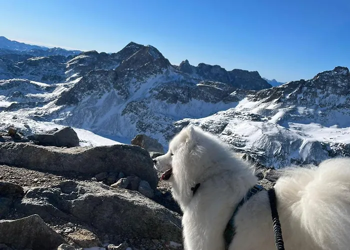 Tiny House Waldschmied 2 Appartamento