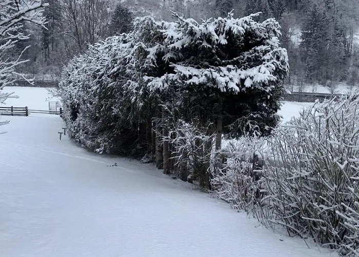 Tiny House Waldschmied 2 *