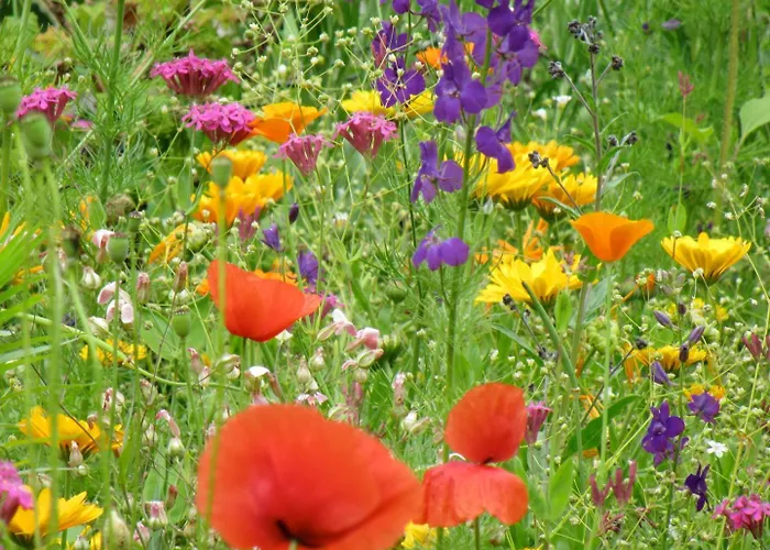 Tiny House Waldschmied 2 Appartamento