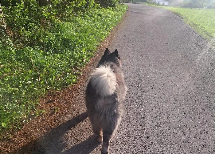 Tiny House Waldschmied 2 * Latzendorf