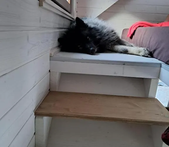 Appartamento Tiny House Waldschmied 2 *